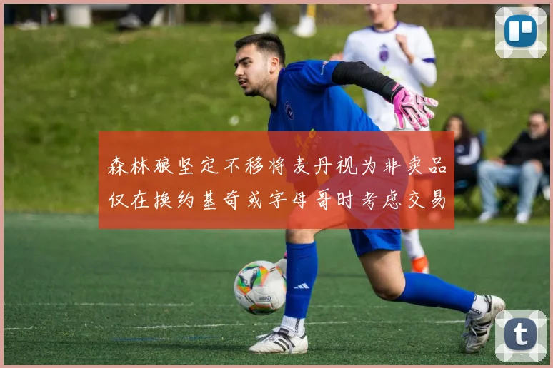 森林狼坚定不移将麦丹视为非卖品仅在换约基奇或字母哥时考虑交易